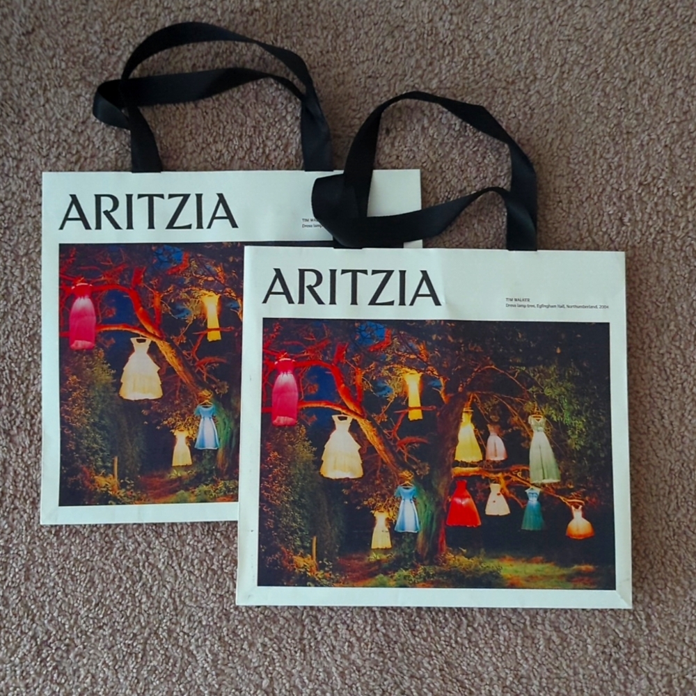 Aritzia shopping/gift bags